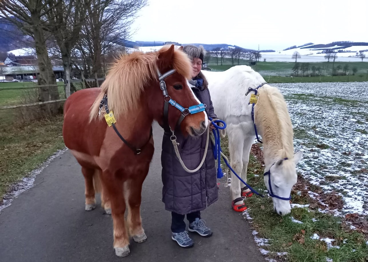Die Reitplakette 2021 für den HSK ist gel und ist gut sichtbar am Zaumzeug des Pferdes anzubringen. Foto: HSK/Susanne Marquardt