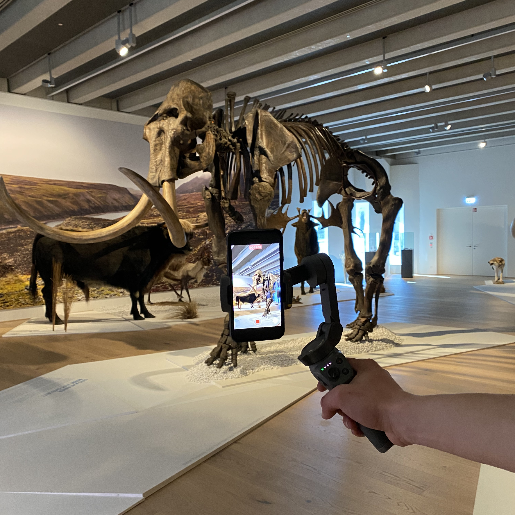 Live-Führungen durch die Ausstellungen im Sauerland-Museum // Foto: Sauerland-Museum